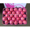/msite/products/detail/productid/54855469/id/542998.html
